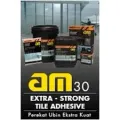 AM 30 Mortarflex (2 Components Tile Adhesive - Extra Strong)