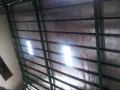BINTANG TUNGGAL SEJATI