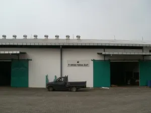 BINTANG TUNGGAL SEJATI
